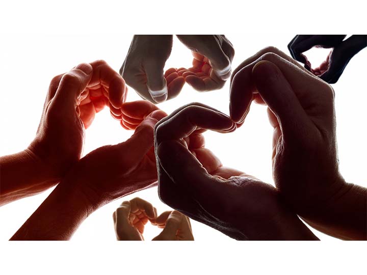 Hearts Hands Foundation Image