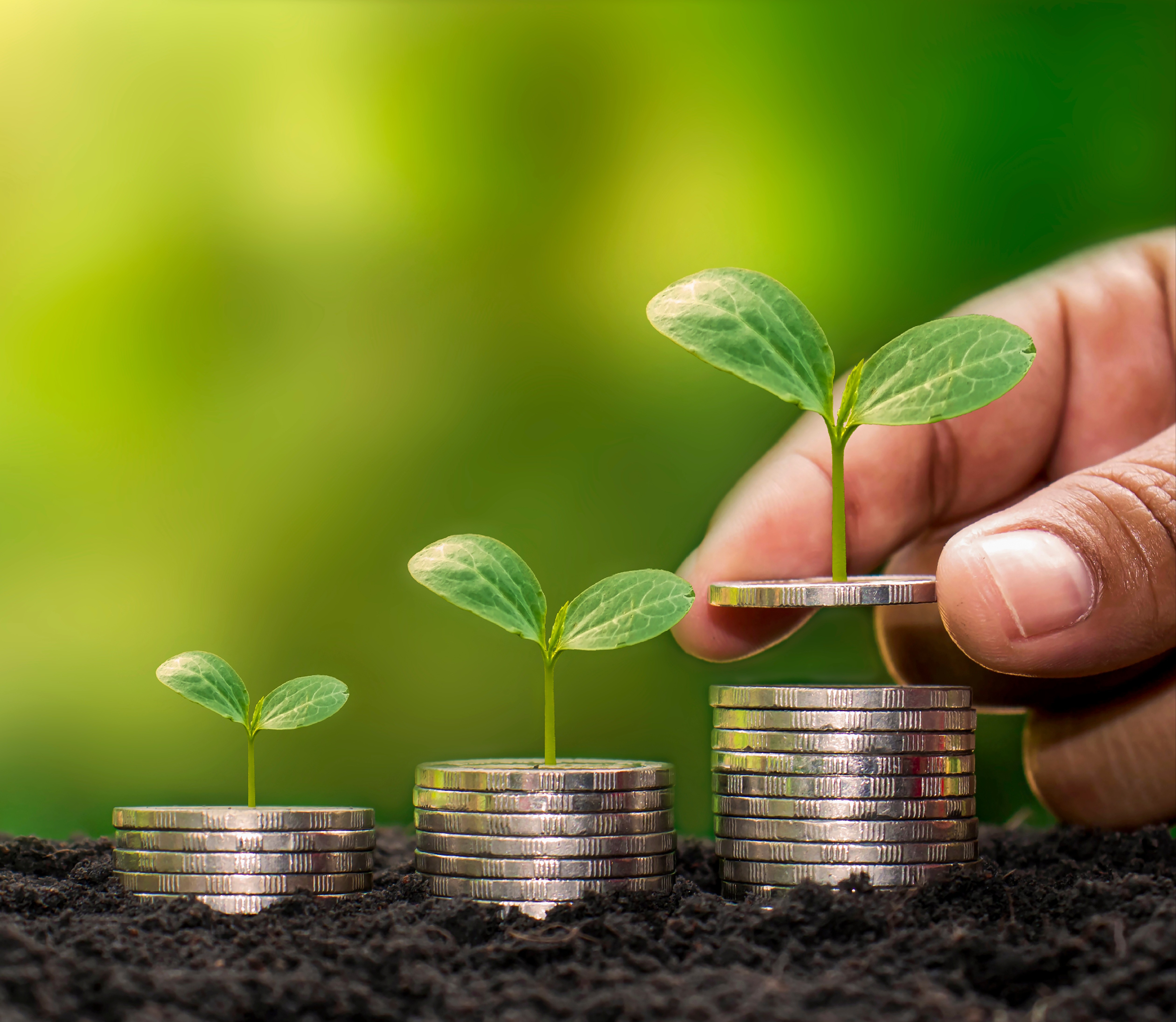 Plants growing from coins symbolizing savings